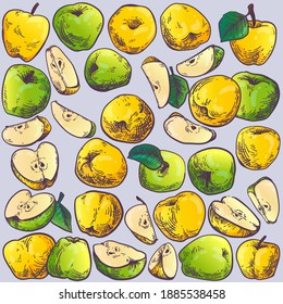 Ripe appetizing yellow and green apples, whole, halves and pieces. Set of hand drawn pictures