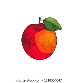 Ripe apple fruit with leaf isolated icon vector. Fresh product rich in vitamins and good nutrients. Dieting and diet, vegan food, meal for vegetarians