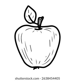 Ripe apple with leaf. Hand drawn doodle vector. Summer fruit. Seasonal vitamins. Fresh vegetarian food. Sweet pulp of dessert. Illustration line art element.