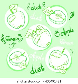 Ripe apples and Apple half, illustration in vector. Beautiful, delicious, realistic, and organic apples for design and execution. Vector watercolor retro art set. Green diet. Apple diet.