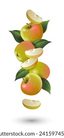 Ripe apples with leaves. Whole fruits  and cut into pieces. Vector illustration.