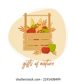 Ripe Apples And Pears In A Wooden Box. Banner For Local Farm Market. Vegetarian Food. Flat Vector Illustration Of Garden Harvest.