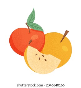 Ripe apples. Sweet red and yellow apples, whole and sliced fruit vector hand drawn illustration on white background. Bright tasty fruits. Juice or jam logo elements.