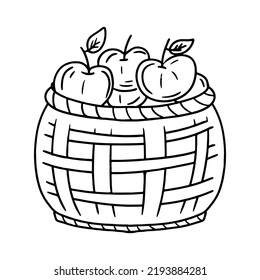 Ripe apples in Wicker basket. Vector illustration isolated on white background. Autumn harvest of organic apples. Hand drawn. Doodle style.