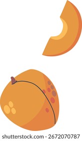 Ilustração vetor de frutas maduras de damasco