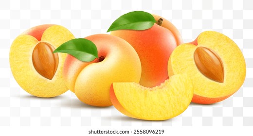 Ripe apricot fruits. Half with pit, whole and slice juicy fruit isolated on transparent background. Concept of healthy food, vegetarian dieting. Realistic 3d vector illustration.