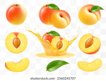 Ripe apricot fruits set. Half, whole and slice of juicy apricot, apricot in a splash of juice, isolated on transparent background. Realistic 3d vector illustration.