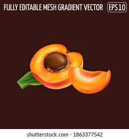 Ripe apricot half with pit and a slice on a dark background.