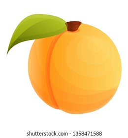 Ripe apricot icon. Cartoon of ripe apricot vector icon for web design isolated on white background