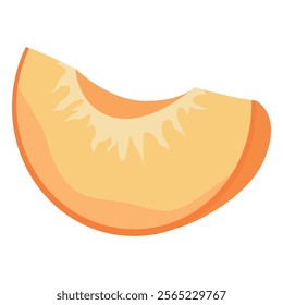 Ripe apricot isolated on white background. Fruit sticker. Fresh ripe fruit close up. Vector fruit illustration, healthy lifestyle, good nutrition.Half with pit fruit composition. Apricot slice.