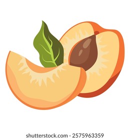 Ripe apricot isolated on white background. Fruit sticker. Fresh ripe fruit with leaves close up.Organic food. Vector fruit illustration, healthy lifestyle, good nutrition.Whole and half with pit.