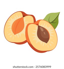 Ripe apricot isolated on white background. Fruit sticker. Fresh ripe fruit with leaves close up.Organic food. Vector fruit illustration, healthy lifestyle, good nutrition.Whole and half with pit.