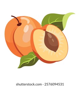 Ripe apricot isolated on white background. Fruit sticker. Fresh ripe fruit with leaves close up.Organic food. Vector fruit illustration, healthy lifestyle, good nutrition.Whole and half with pit.