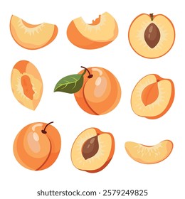 Ripe apricot isolated on white background. Fruit sticker. Fresh ripe fruit with leaves close up.Organic food. Vector fruit illustration, healthy lifestyle, good nutrition.Whole and half with pit.