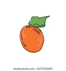 Ripe apricot on white background