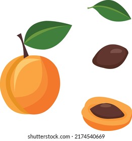 ripe apricot with pit, half and leaf