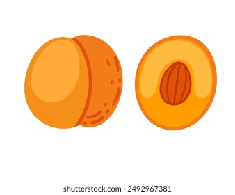 Ripe apricot, whole and halved with seed, and kernel. Fresh tasty cross section fruit in simple cartoon style. Flat vector illustration isolated on white background