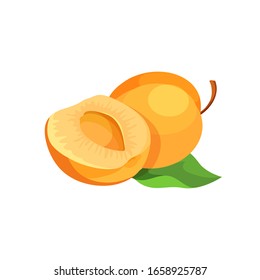 Ripe apricots with leaves vector icon. Composition of apricots, isolated icon. Cartoon fruit element for food design of label, logo or packaging.