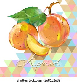 Ripe apricots on a geometric background. Vector illustration