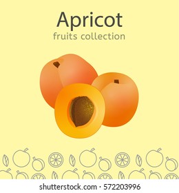 Ripe apricots on a light background. Fruits collection. Vector illustration.