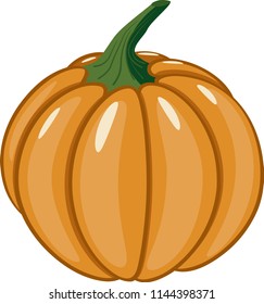 Ripe autumn pumpkin