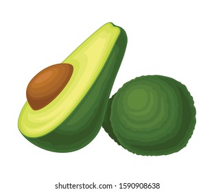Ripe Avocado Fruit with Kernel Front View Vector Food Item Isolated on White Background