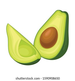 Ripe Avocado Fruit with Kernel Front View Vector Food Item Isolated on White Background