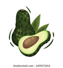 Ripe avocado fruit. Vector illustration on white background.