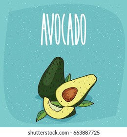 Ripe avocado fruits with leaves, whole and beautifully cut into pieces. Visible flesh and seeds. Isolated blue background. Realistic hand draw style. Lettering Avocado. Vector illustration