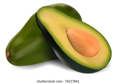 Ripe avocado isolated on white background vector