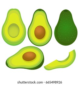 Ripe Avocado isolated on white.Vector illustration.
