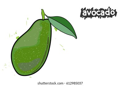 ripe avocado. avocado with leaves