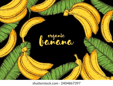 Ripe banana frame. Hand drawn vector illustration. Tropical fruit. Packaging design, menu design, juice packaging. Banana frame.