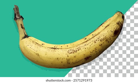 A ripe banana with freckles on its peel. This is an EPS file that can be used for presentations and research related to bananas. The file can be accessed with Adobe Illustrator. Flexible vector