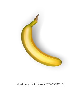 Ripe banana on white background, realistic vector illustration