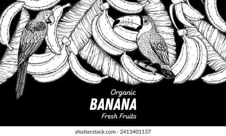 Ripe banana, parrot bird, toucan bird and banana leaves frame. Hand drawn sketch. Vector illustration. Tropical fruit. Packaging design, menu design, juice packaging. Banana frame.
