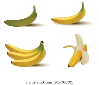 ripe banana vector illustration with white background