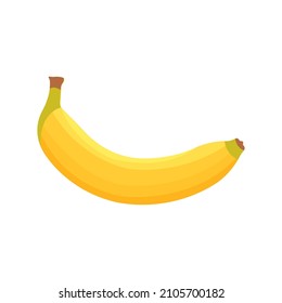 Ripe  banana vector isolated on white background. yellow fruit, tropical fruit, vegetarian nutrition