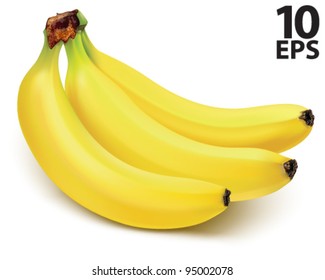 Ripe bananas on a white background vector illustration