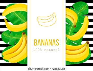 Ripe Bananas and palm leaves with text 100 percent natural. Vertical label. black stripes. Vector illustration with tropic motif. Concept idea for logo, tag, banner, advertising, prints, wrapping