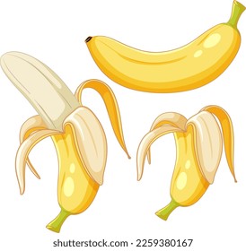 Ripe bananas peeled set illustration