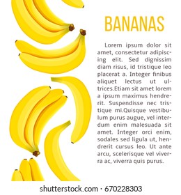 Ripe Bananas stripe with description text. Concept idea for tag, banner, advertising, prints, poster, design element, label, menu, production, restaurant, wrapping, health care products, prescription