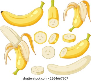 Ripe bananas in whole and sliced illustration