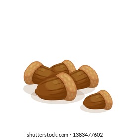 ripe beautiful nuts acorns vector illustration