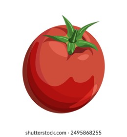 Ripe beautiful tomato, isolated on a white background. Vector illustration of a vegetable.