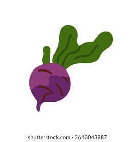 Raiz de beterraba madura com ícone de tops verdes. Beterraba fresca, vegetais naturais. Comida agrícola saudável, produto orgânico para comer. Culturas agrícolas, colheita. Ilustração de vetor isolado plano sobre fundo branco