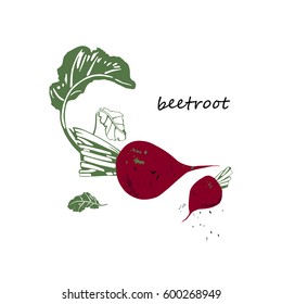 Ripe beetroot with green leaves on a white background. Vector illustration.