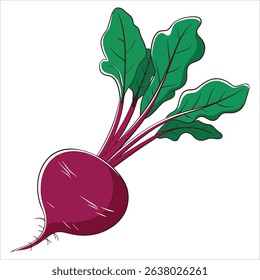 Ripe beetroot icon with big green leaves organic healthy vegetable. Natural farm food fresh ingredient for vegetarian dishes.