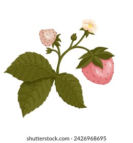 Ripe berries of a blooming strawberry. Vector graphics.