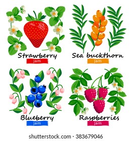 Ripe berries and flowers vector set of strawberry, raspberry and blueberry. pattern for jam or juice. isolated on white background